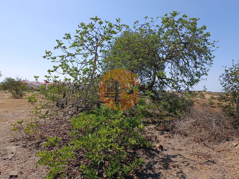 Land, For Sale