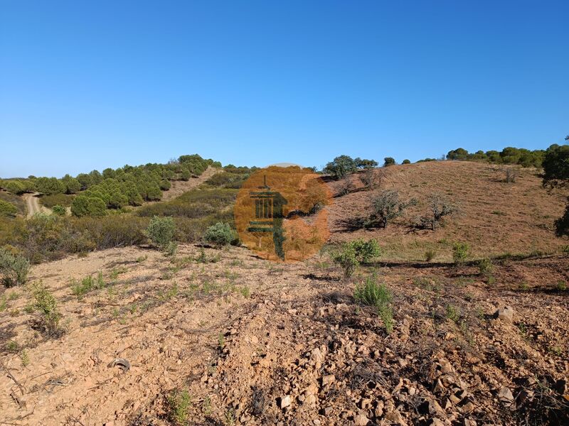 Land, For Sale