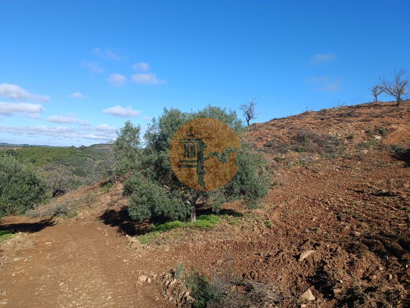 Land, For Sale