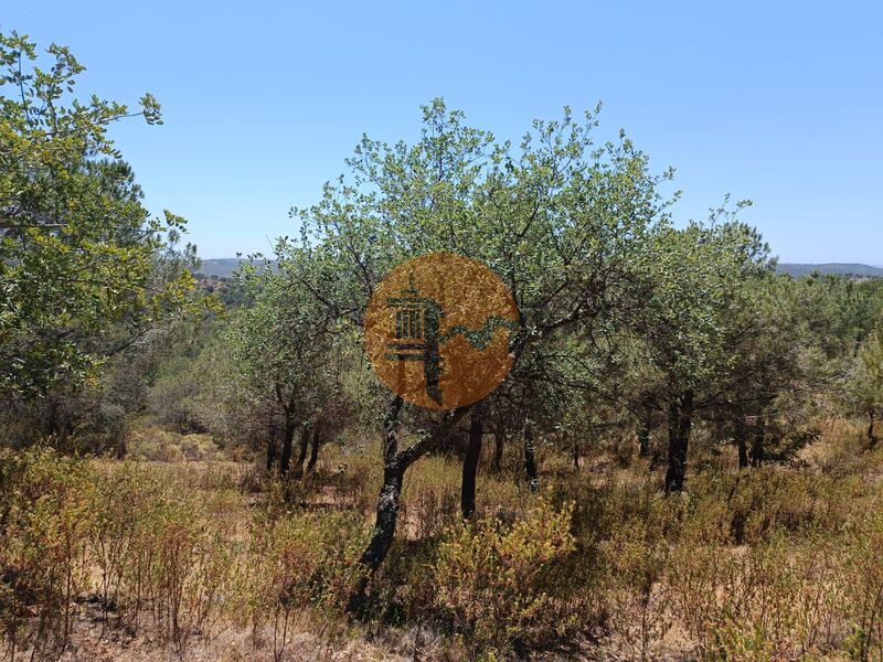 Land, For Sale