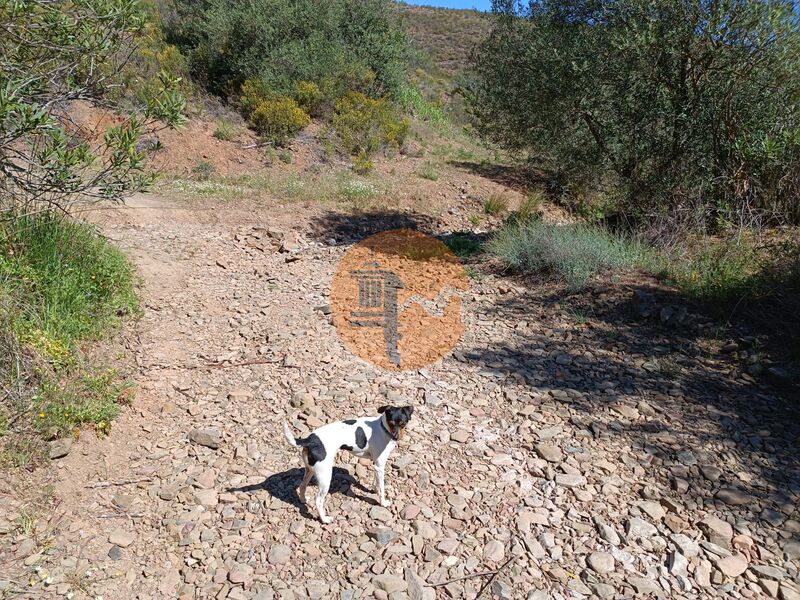 Land, For Sale