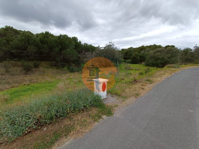 Land, For Sale