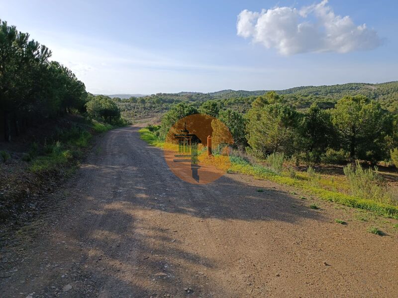 Land, For Sale