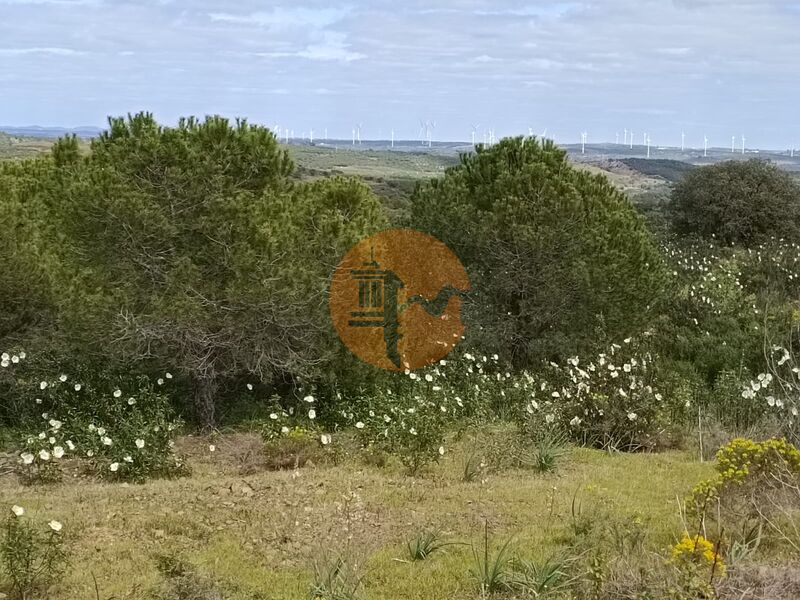 Land, For Sale