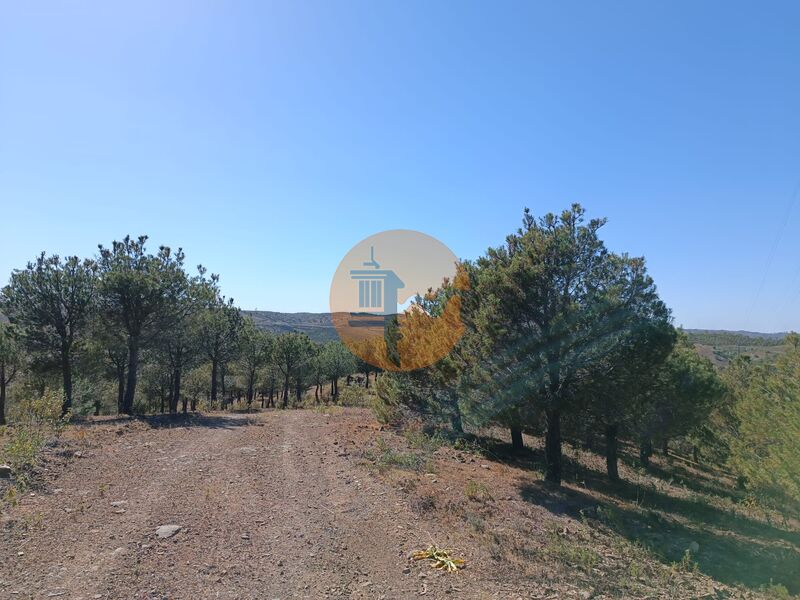 Land, For Sale