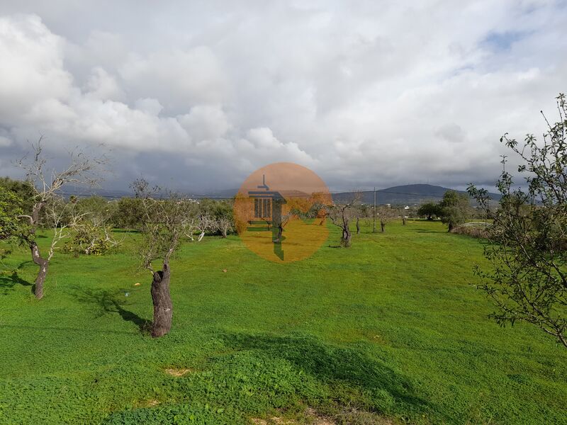 Land, For Sale