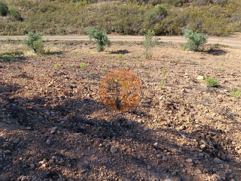 Land, For Sale