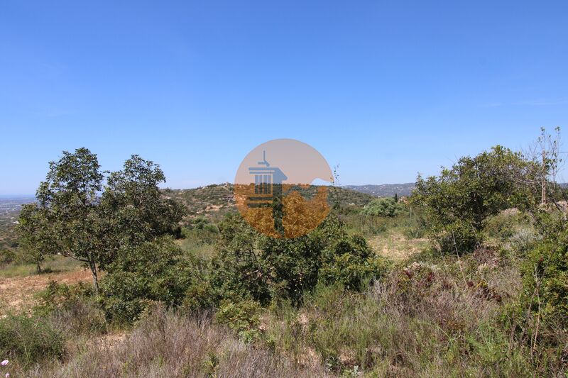 Land, For Sale