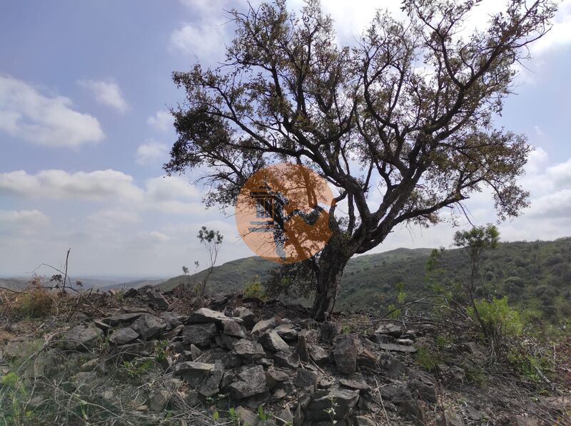 Land, For Sale