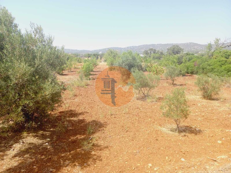 Land, For Sale