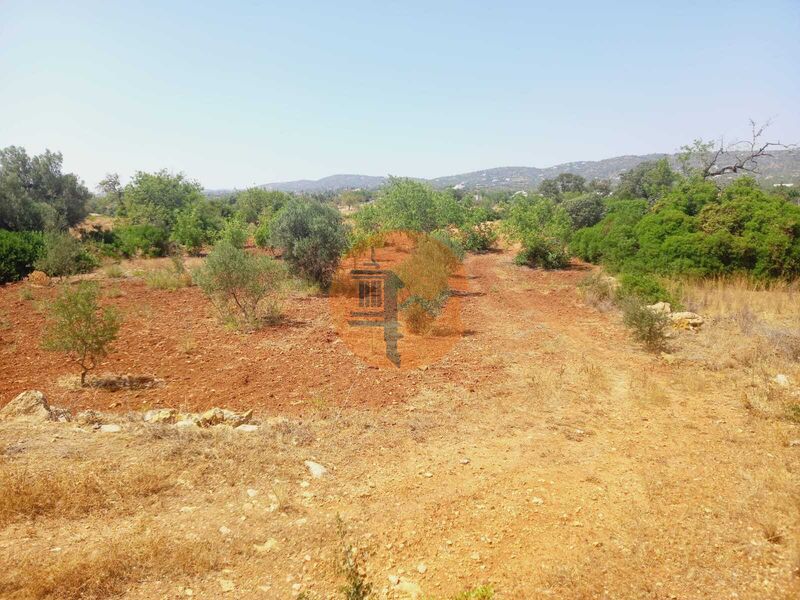 Land, For Sale