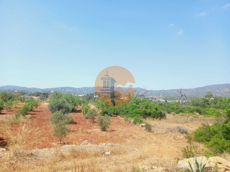 Land, For Sale