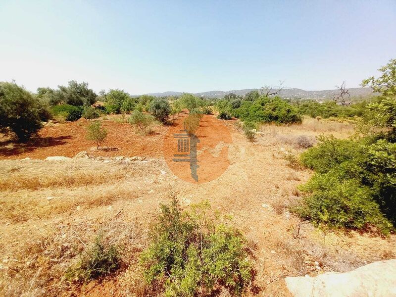 Land, For Sale