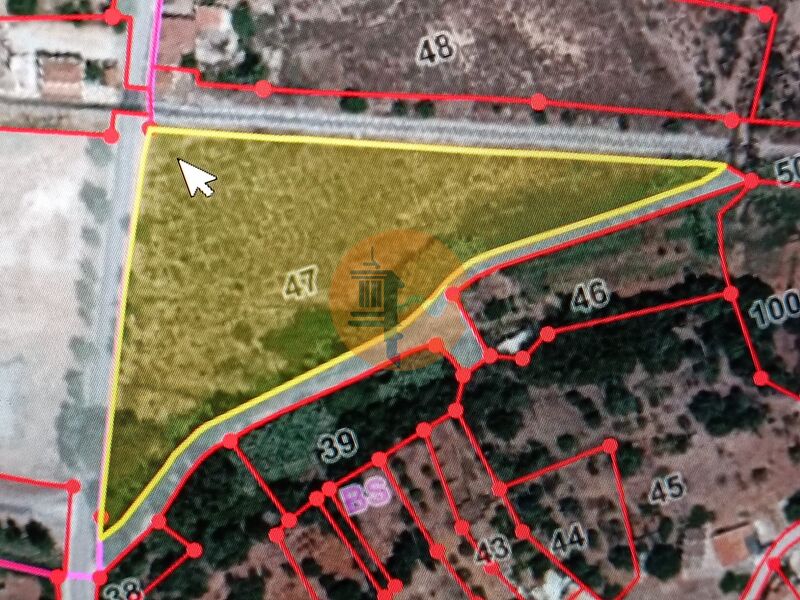 Land, For Sale