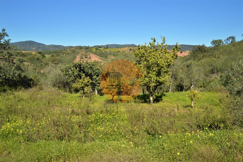 Land, For Sale