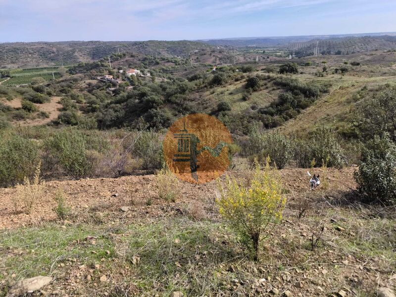 Land, For Sale