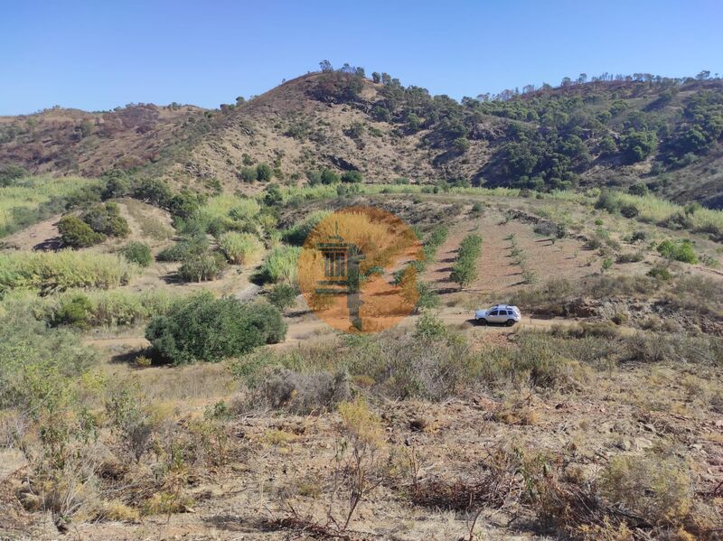 Land, For Sale
