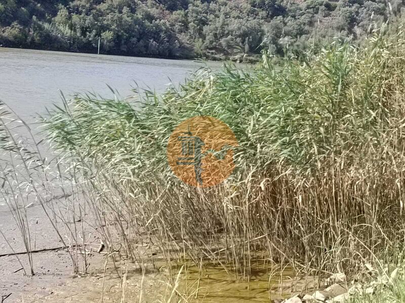 Land, For Sale