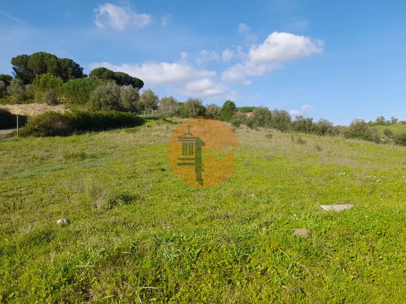 Land, For Sale