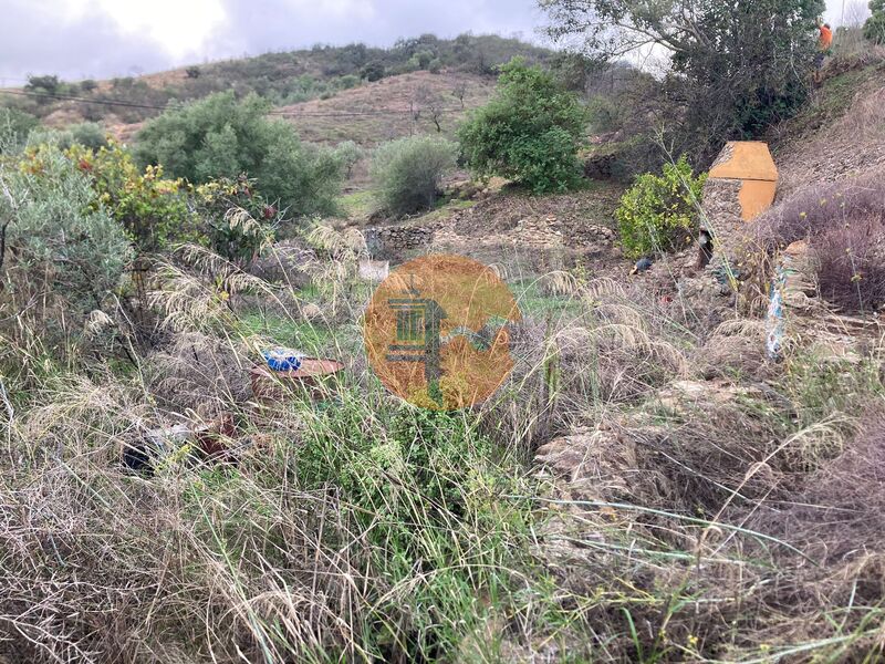 Land, For Sale Land, For Sale