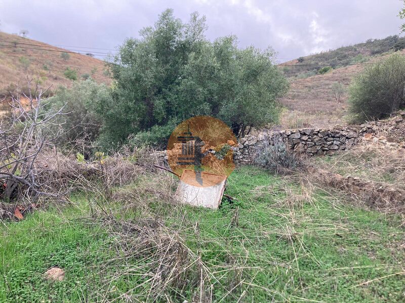 Land, For Sale Land, For Sale