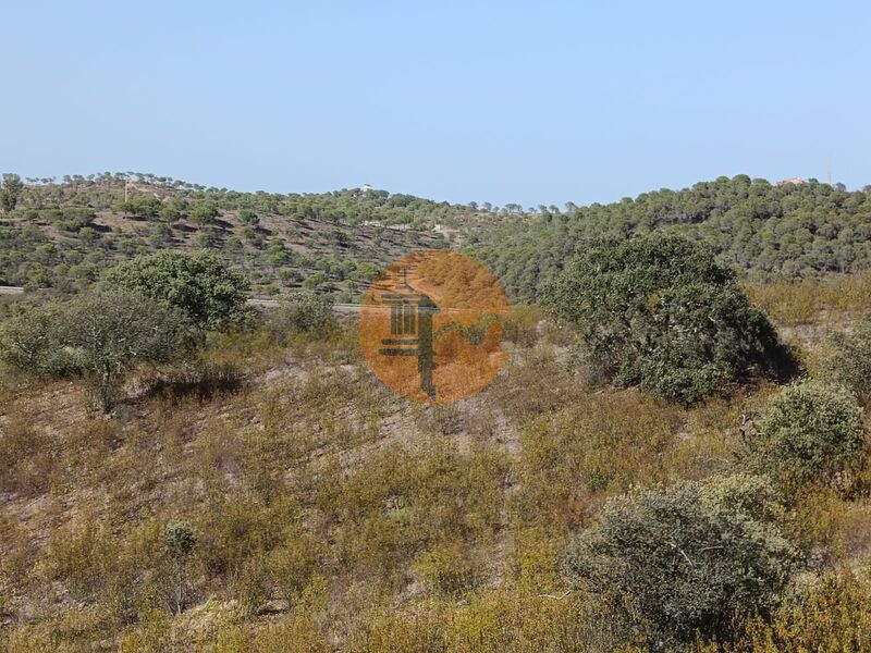 Land, For Sale
