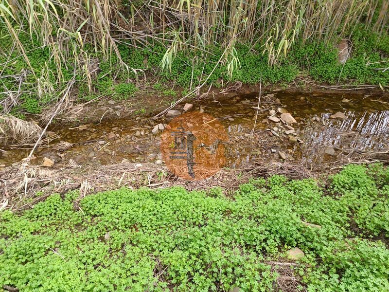 Land, For Sale