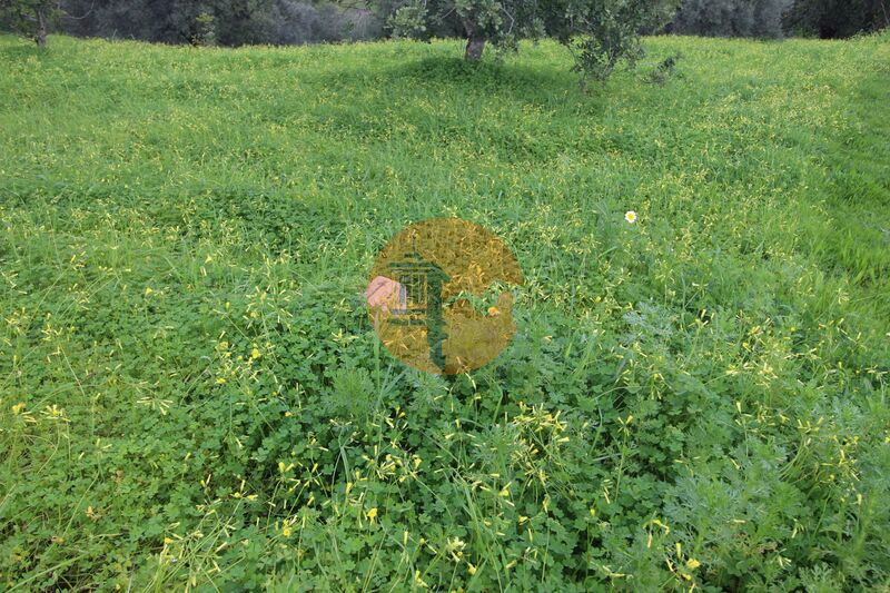 2 Bed, 1 Bath, HouseFor Sale, Tavira, Faro