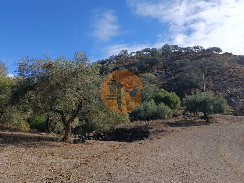 Land, For Sale