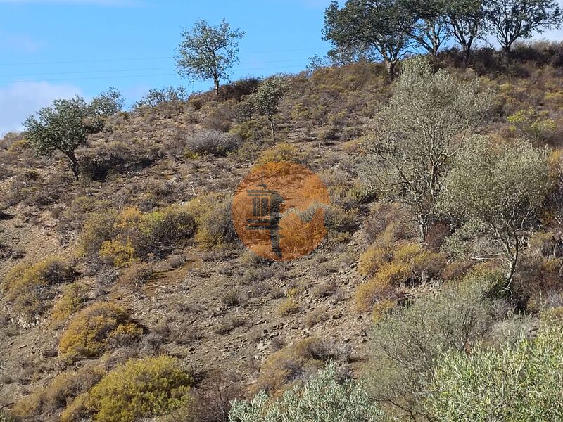 Land, For Sale Land, For Sale