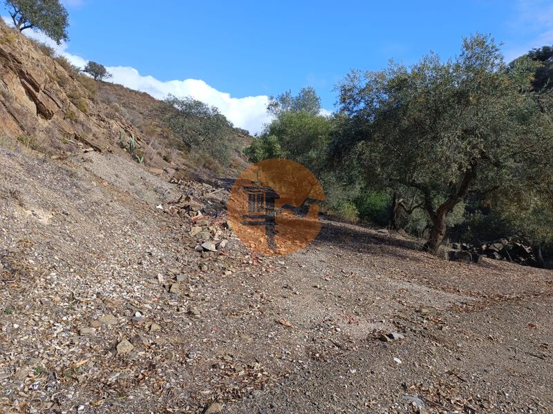 Land, For Sale Land, For Sale