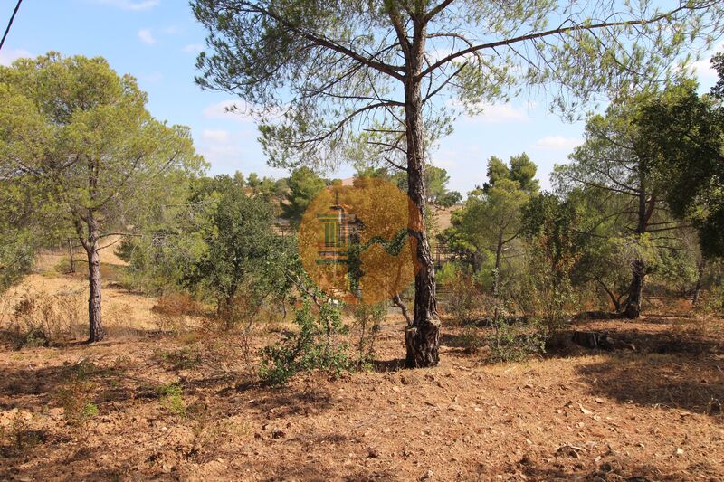 Commercial Property, For Sale