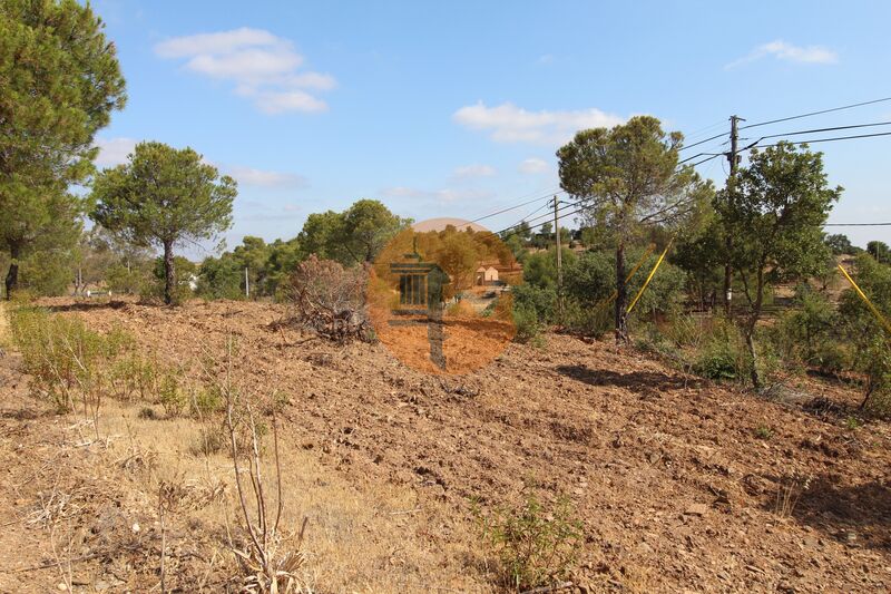 Commercial Property, For Sale