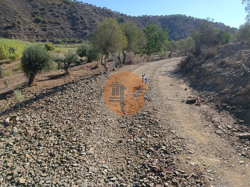 Land, For Sale