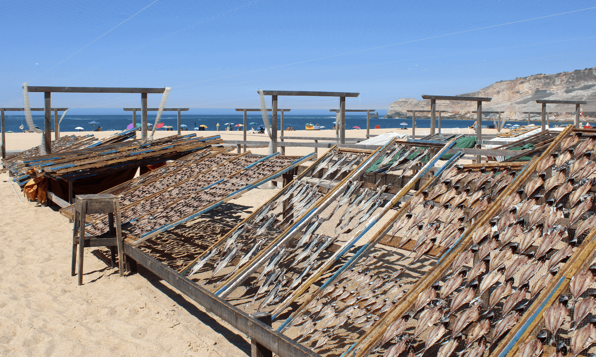 1 Bed, 1 Bath, ApartmentFor Sale, Nazaré, Leiria, 2450-100