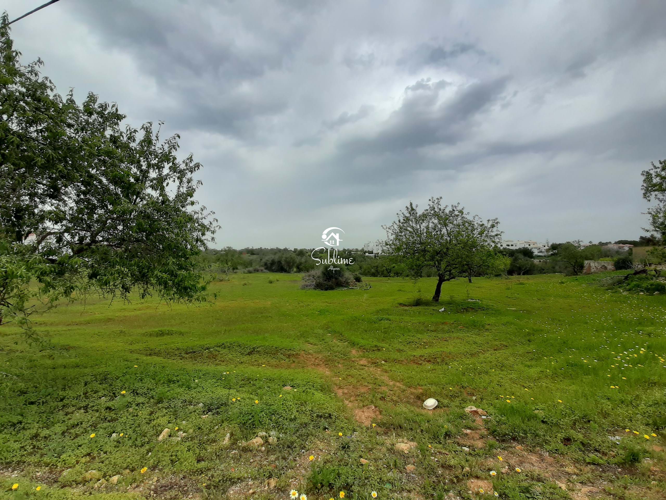 Land, For Sale