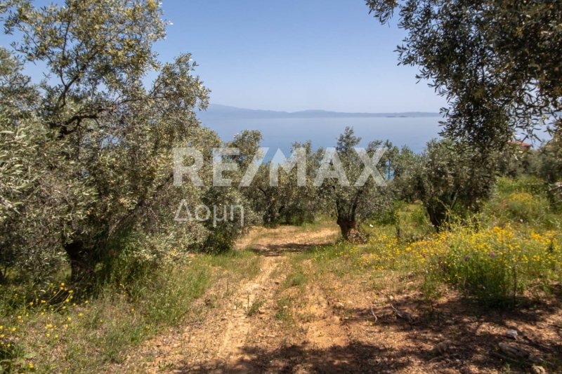2 Bed, 1 Bath, HouseFor Sale, Nies, Sourpi, Magnesia