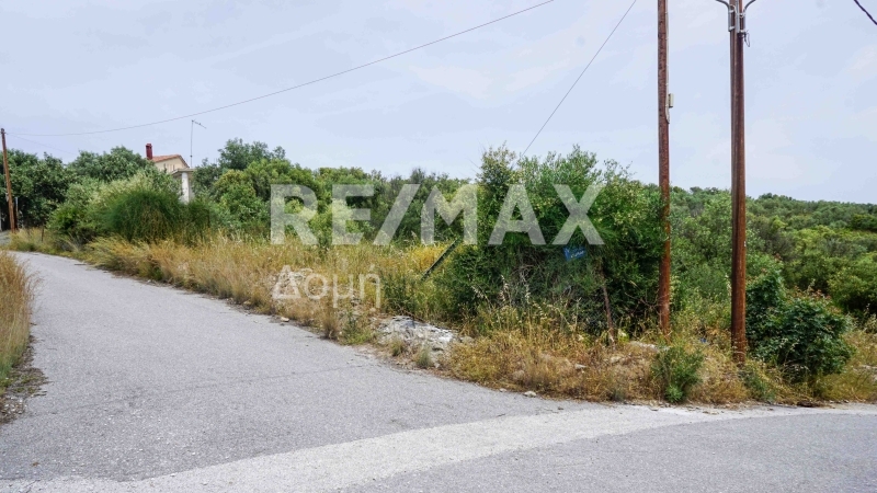 Land, For Sale Land, For Sale