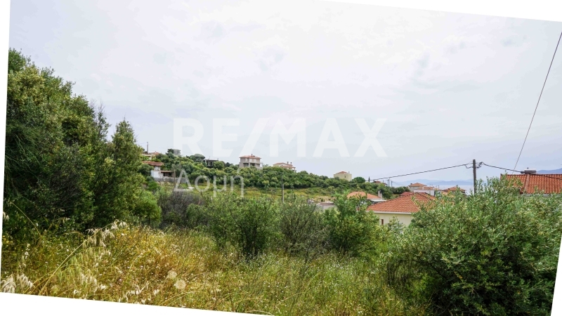 Land, For Sale Land, For Sale