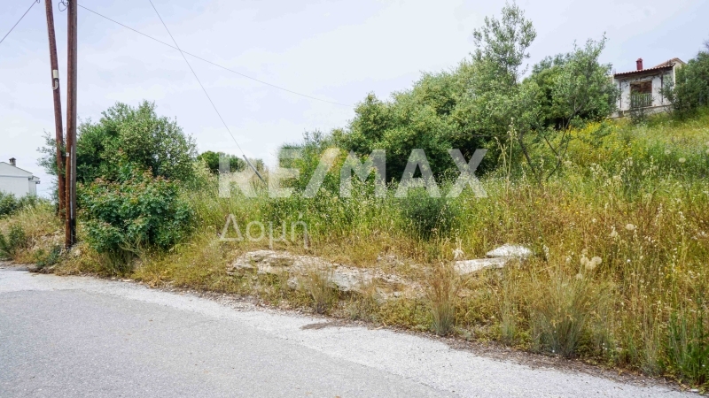 Land, For Sale Land, For Sale