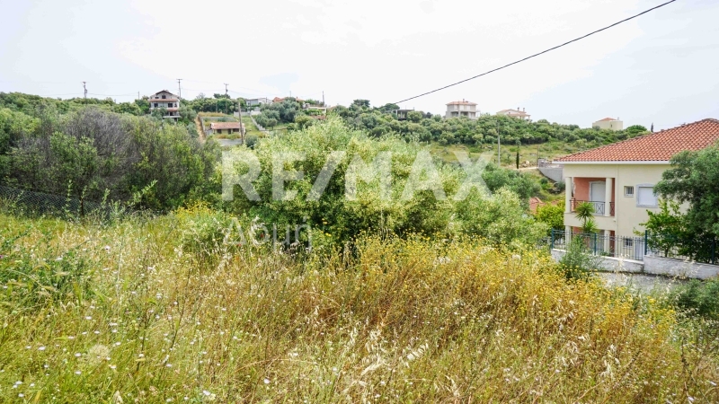 Land, For Sale Land, For Sale