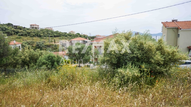 Land, For Sale Land, For Sale