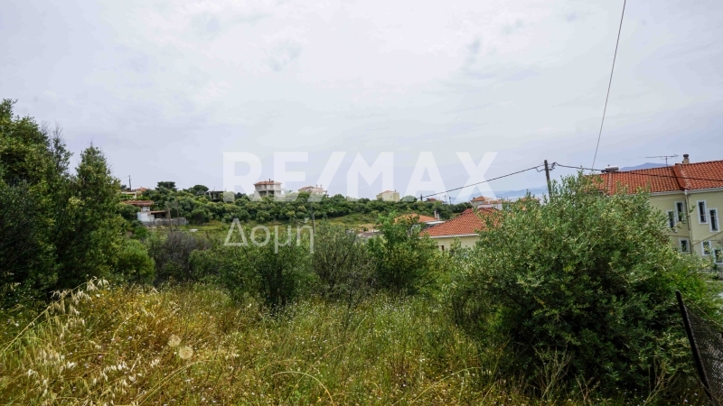 Land, For Sale Land, For Sale