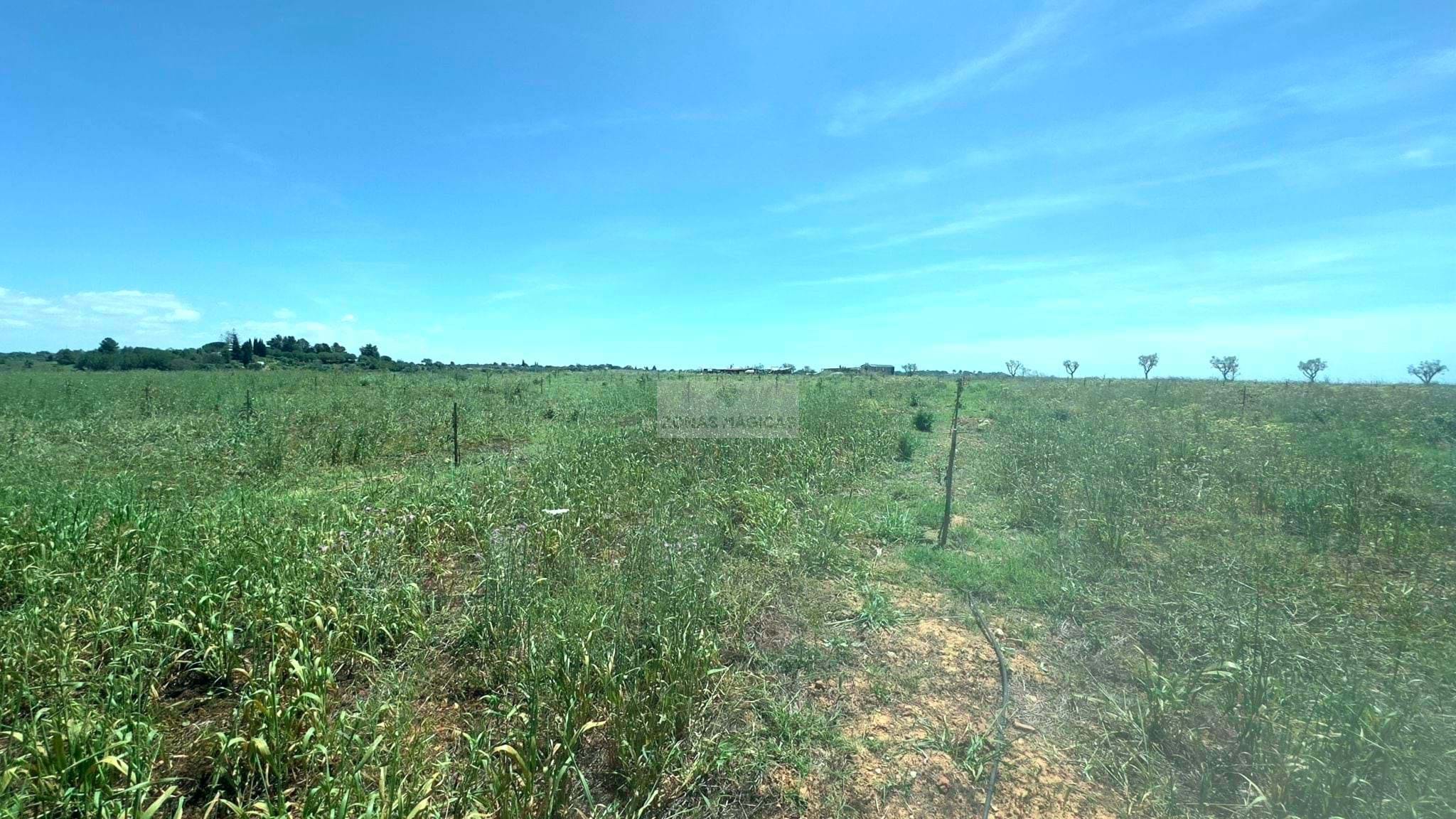 Land, For Sale