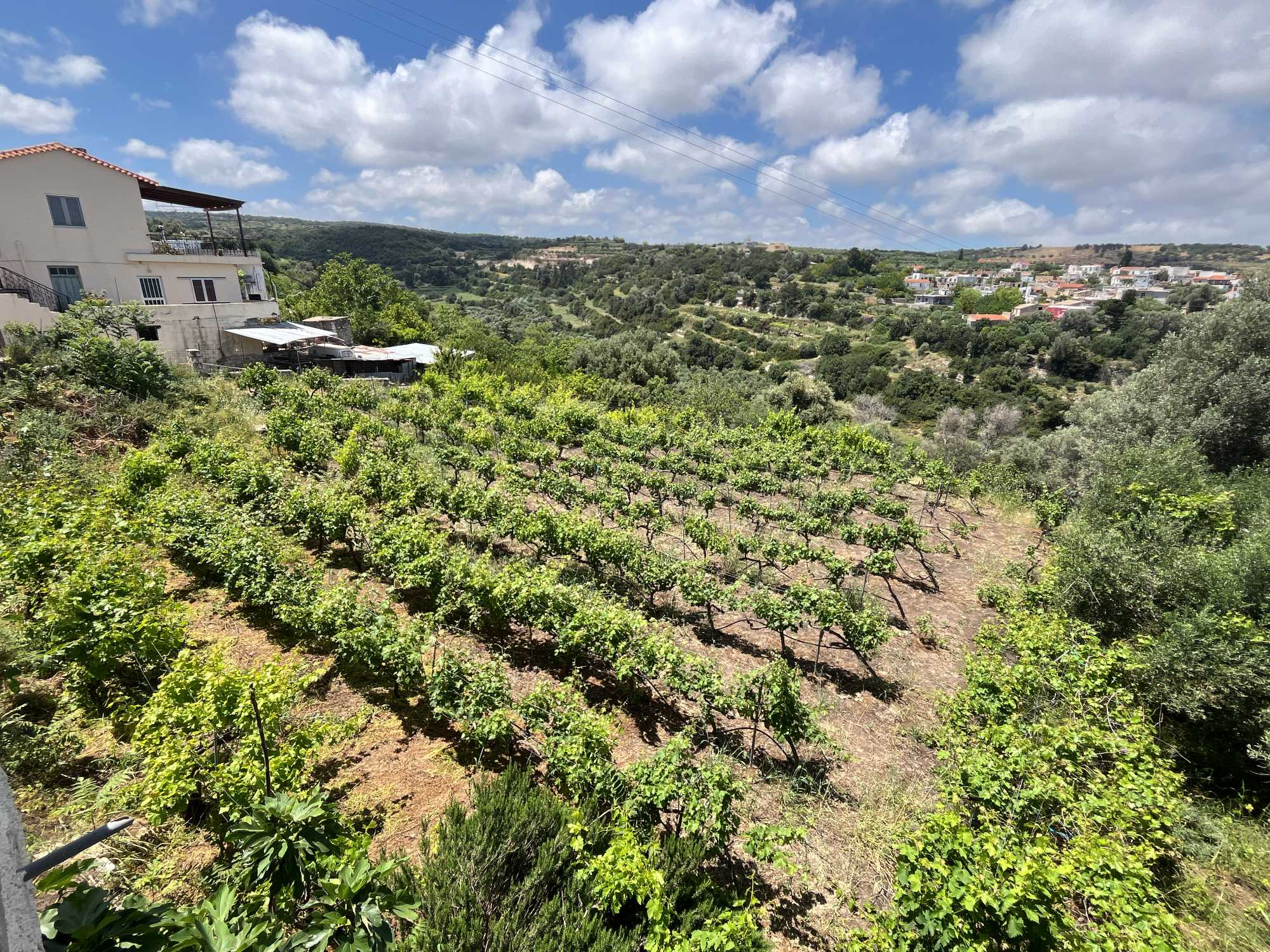 Commercial Property, For Sale