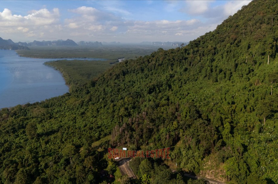 Land, For Sale