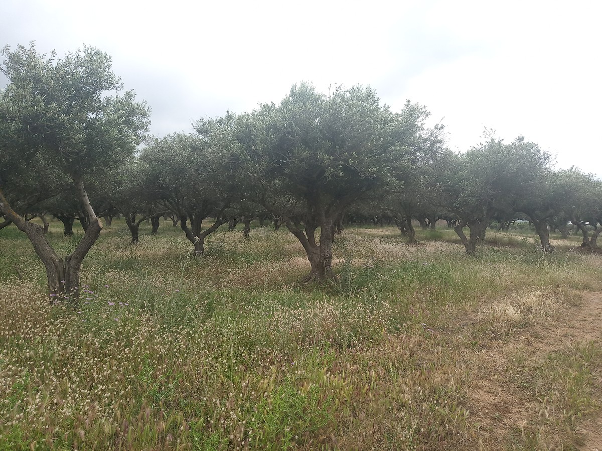 Commercial Property, For Sale