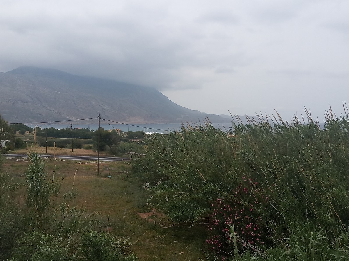 Commercial Property, For Sale