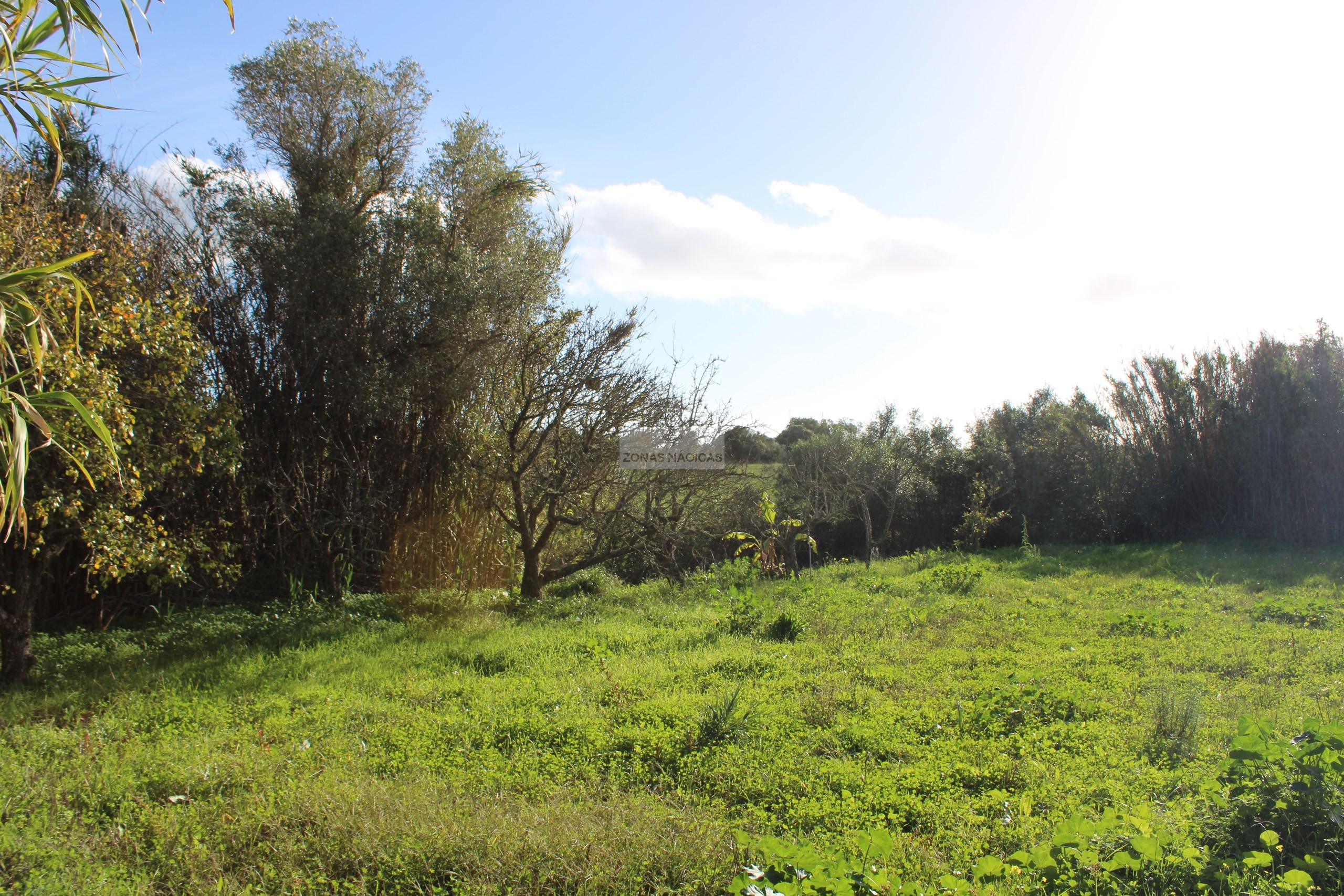 3 Bed, 1 Bath, HouseFor Sale, Lagos, Faro, 8600-250