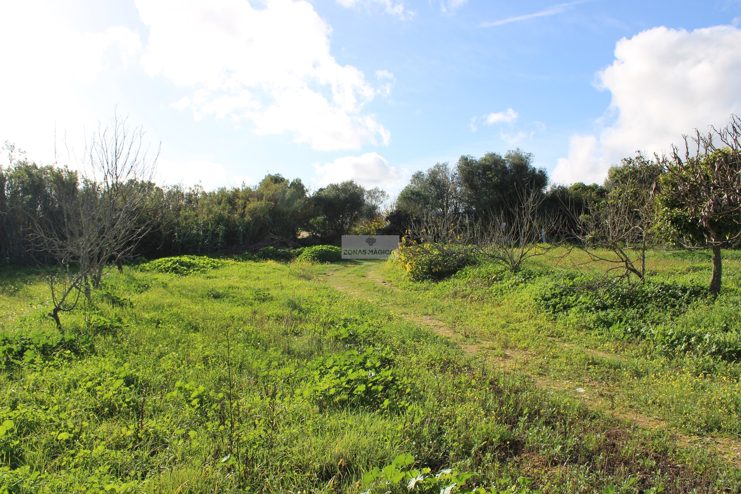 3 Bed, 1 Bath, HouseFor Sale, Lagos, Faro, 8600-250